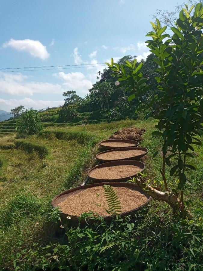 Вилла Puluong Bamboo Huong Ba Thuoc Экстерьер фото