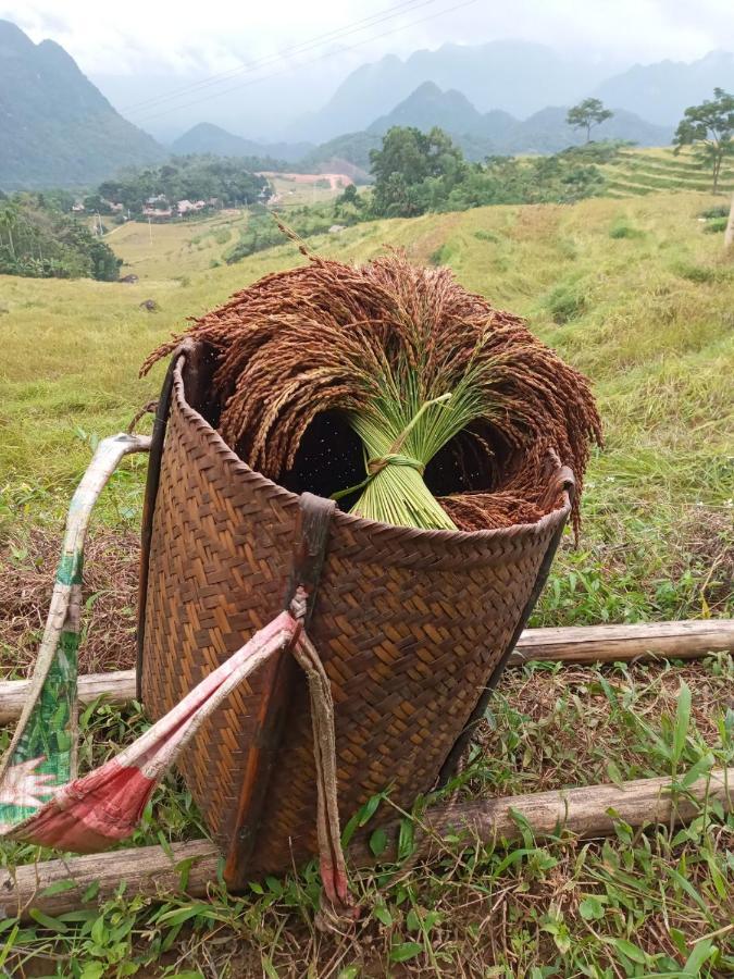 Вилла Puluong Bamboo Huong Ba Thuoc Экстерьер фото