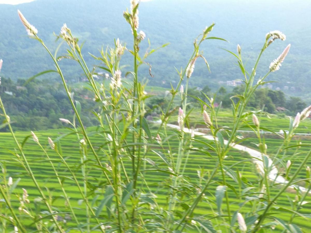 Вилла Puluong Bamboo Huong Ba Thuoc Экстерьер фото
