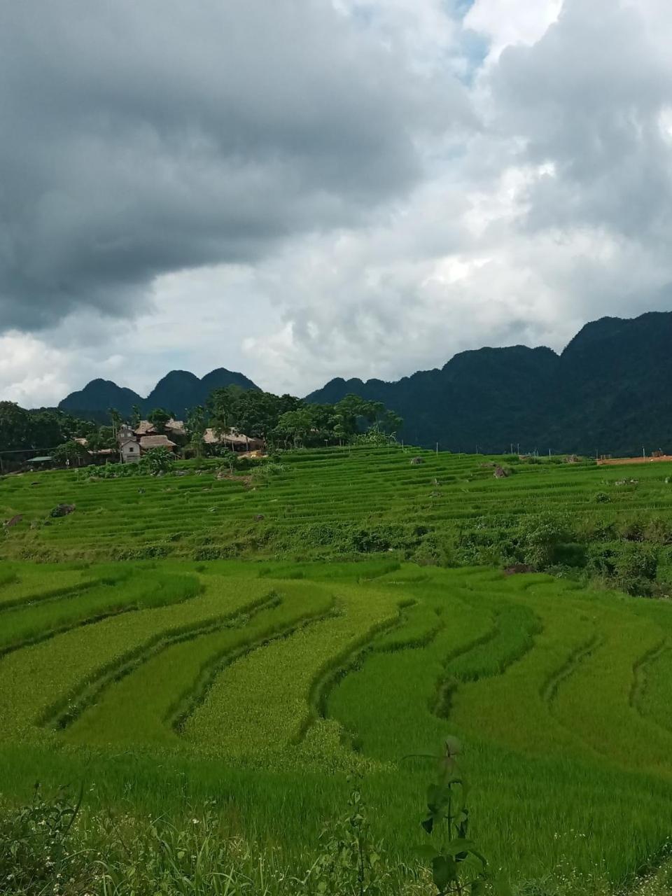 Вилла Puluong Bamboo Huong Ba Thuoc Номер фото